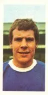 20_joe_royle.webp