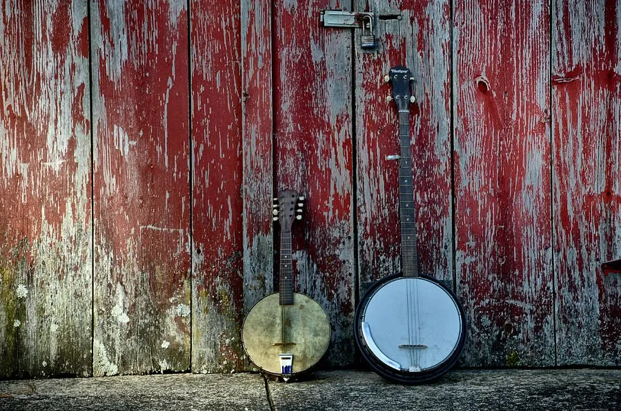 banjos-against-a-barn-door-bill-cannon.webp