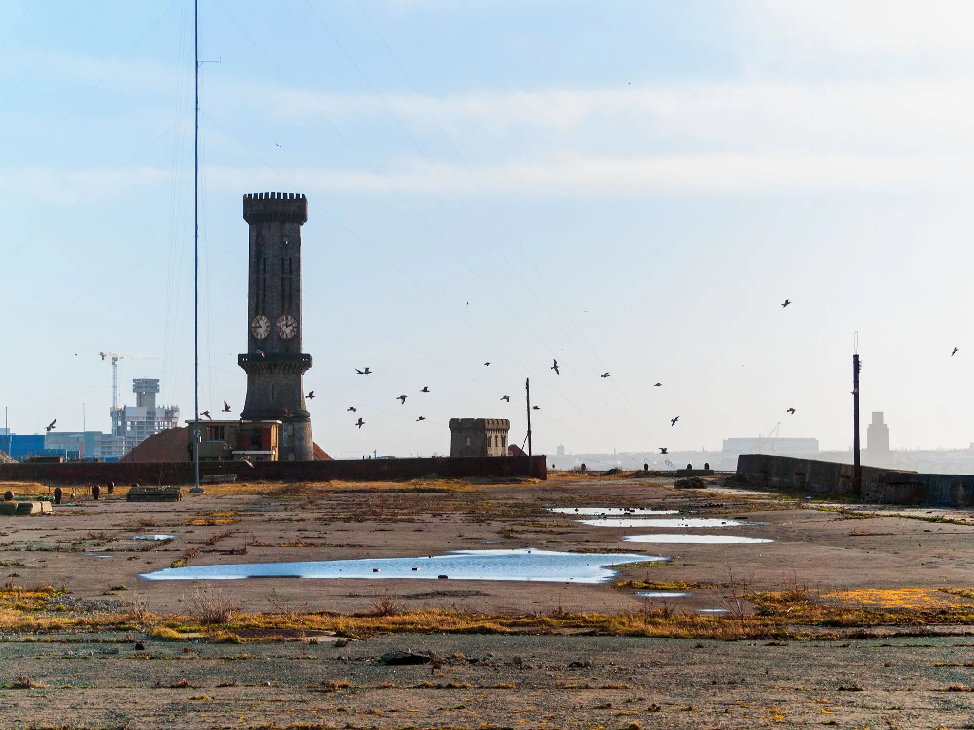 Bramley moore dock..webp