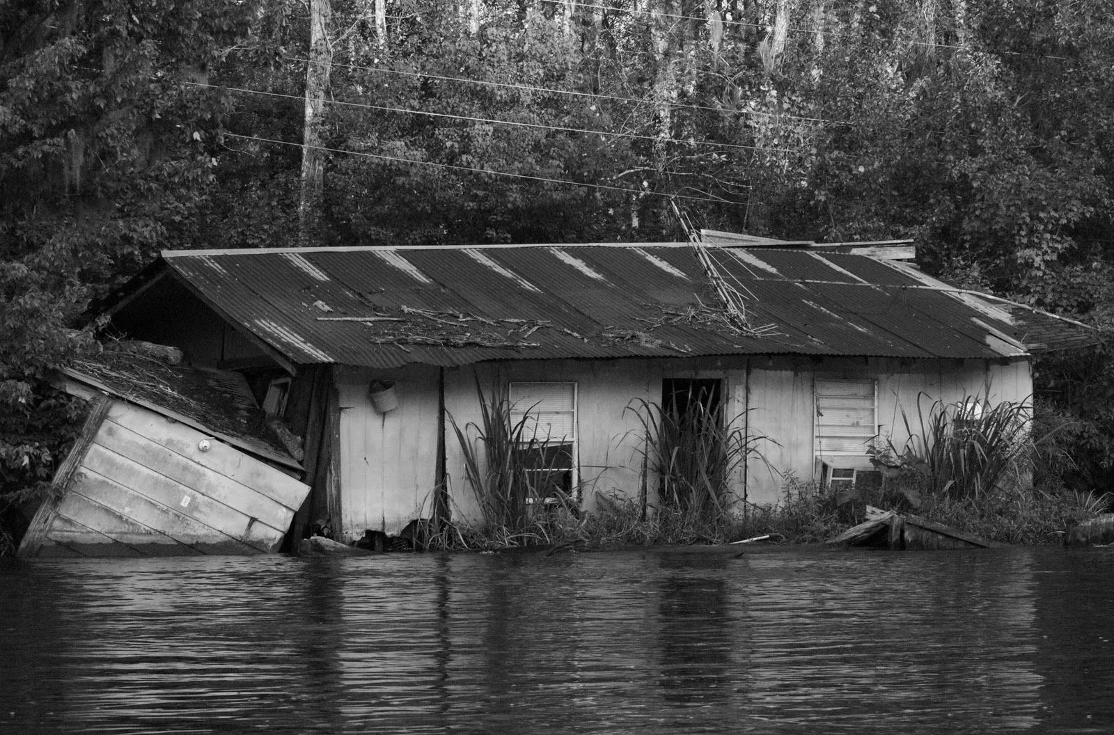 Cajun River Shack 1.webp