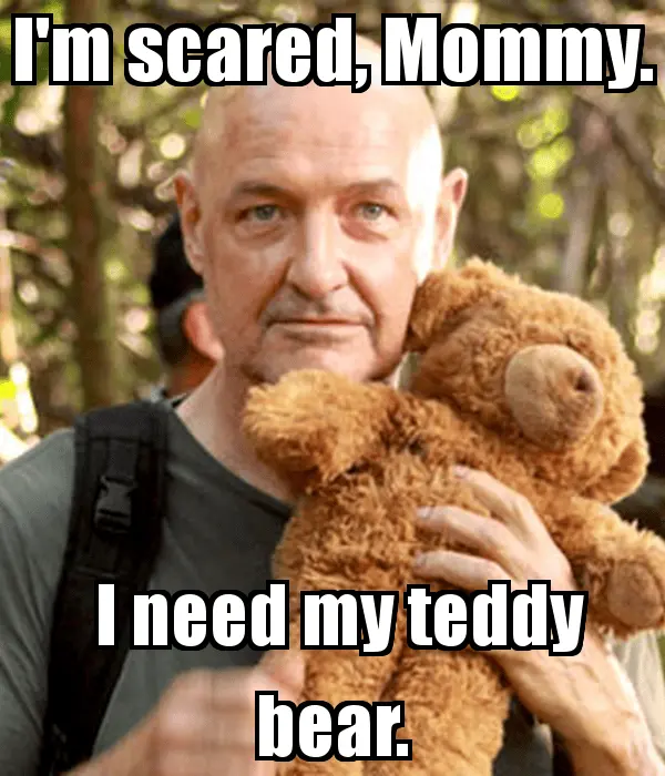 i-m-scared-mommy-i-need-my-teddy-bear.webp