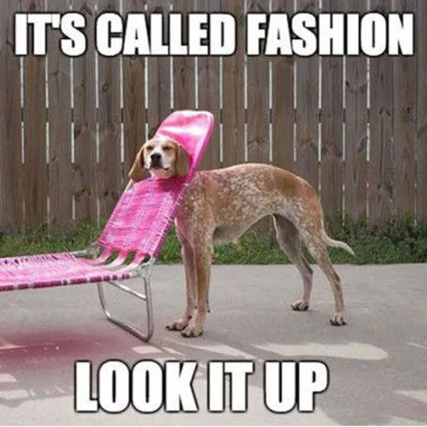 Its-Called-Fashion-Look-It-Up-Funny-Meme-Picture.webp