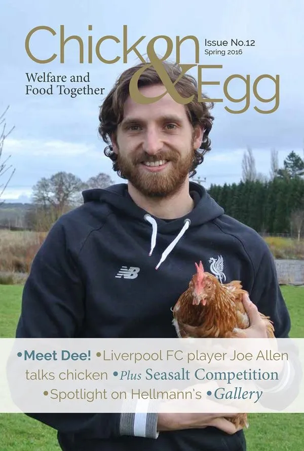 joe-allen-chicken-egg.webp