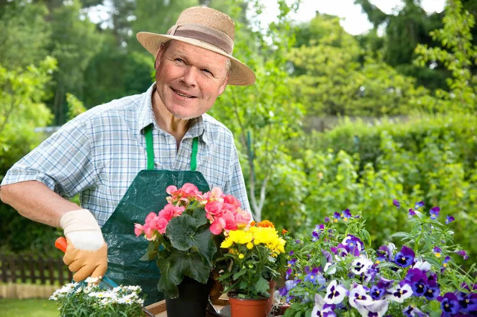 Koeman Gardening.webp