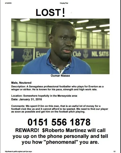 lost niasse.webp