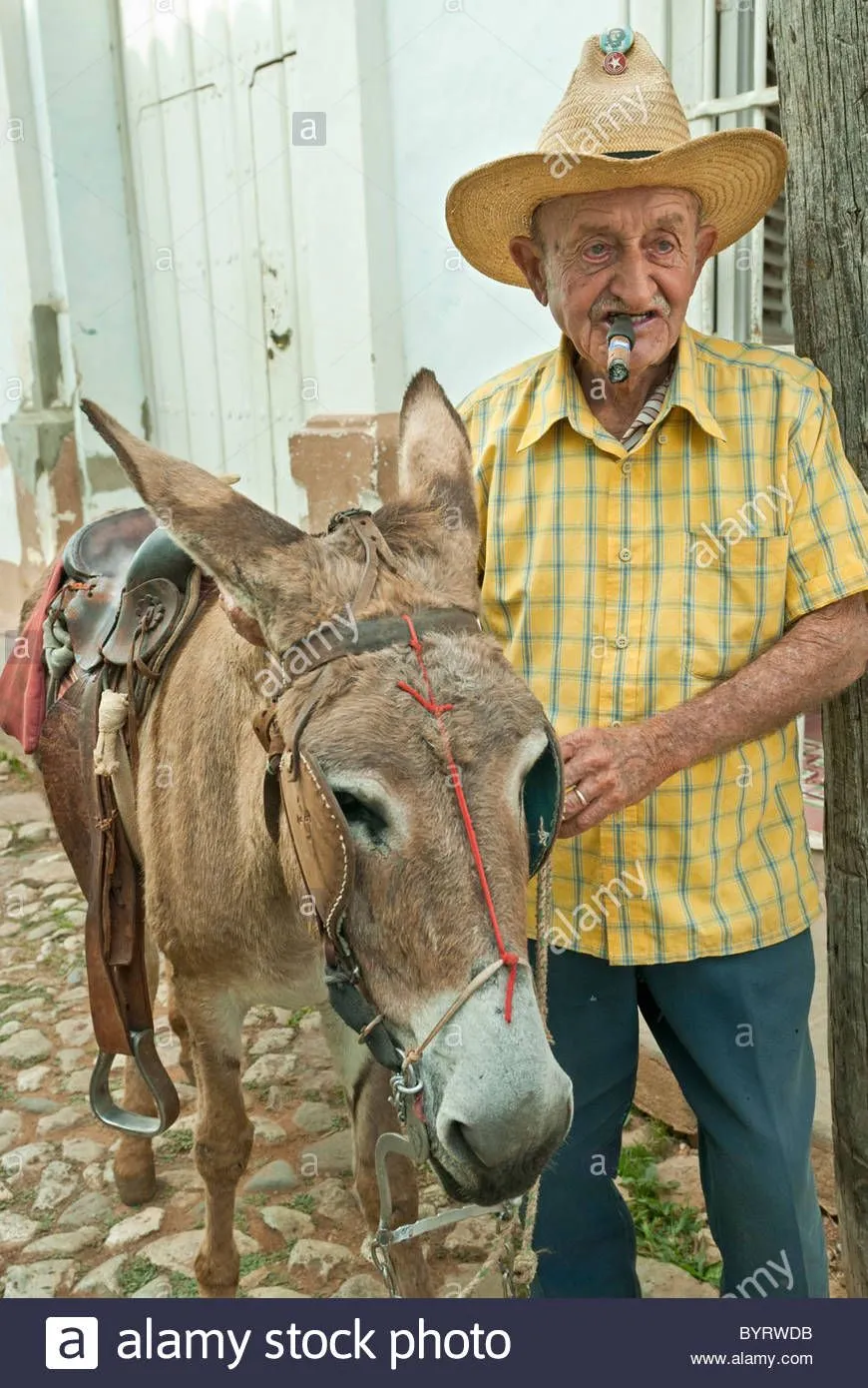 old-man-with-straw-hat-walking-with-his-donkey-trinidad-sancti-spiritus-BYRWDB.webp