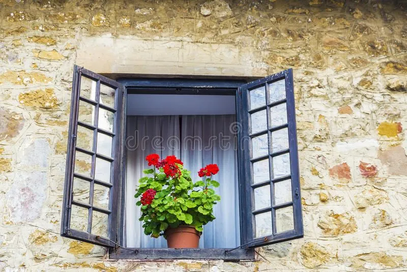 old-window-flower-pot-spain-typical-house-medieval-village-santillana-del-mar-cantabria-79586...webp