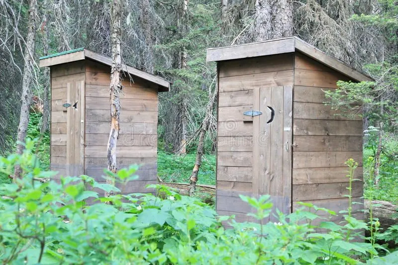 outhouses-woods-pair-wooden-moon-star-carved-door-photo-was-taken-glacier-national-park-53843...webp