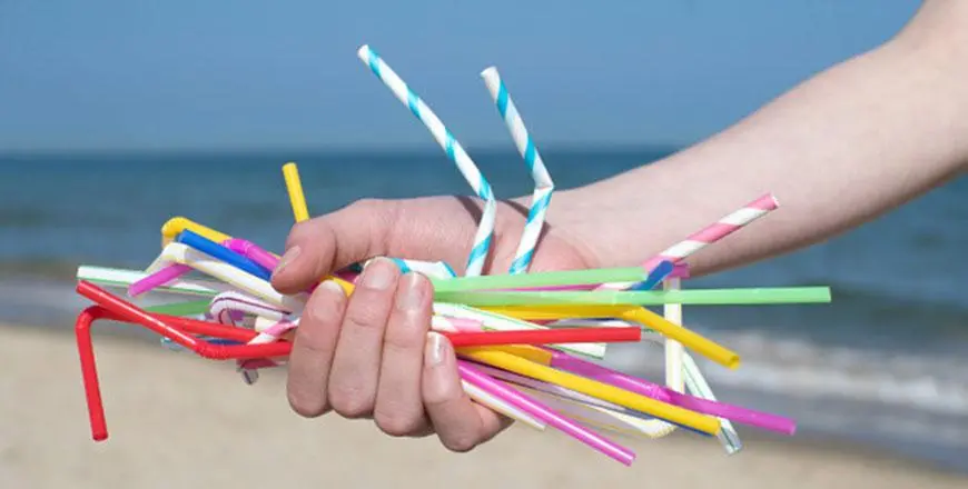 Straws.webp