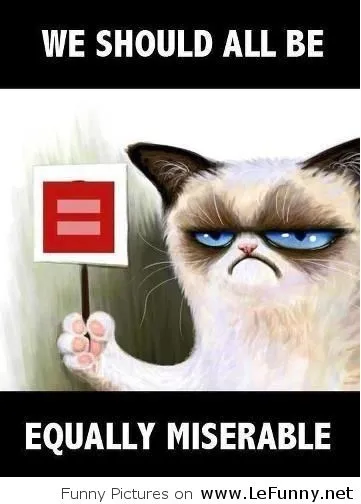 We-should-all-be-equally-miserable-says-Grumpy-Cat.webp