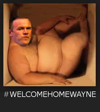 welcomehomewayne.webp