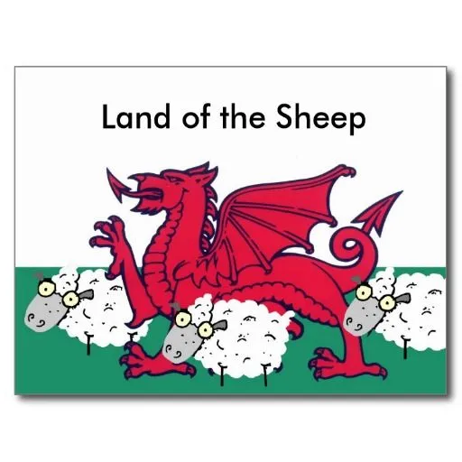 welsh_sheep_land_of_the_sheep_postcard-rc1d11c11c1eb4aaf81b4a7af839283a0_vgbaq_8byvr_512.webp