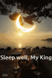sleep-well-my-king-yyv9b0krgzceanh9.gif